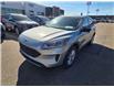 2022 Ford Escape SE (Stk: S-1475A) in Calgary - Image 1 of 3