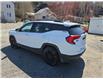 2019 GMC Terrain SLE (Stk: ZTERRAIN) in Sudbury - Image 3 of 20