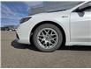 2020 Acura TLX  (Stk: F0606A) in Saskatoon - Image 9 of 24