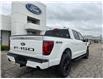 2025 Ford F-150 Lariat (Stk: LFFF00542) in Tilbury - Image 3 of 15