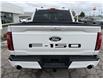 2025 Ford F-150 Lariat (Stk: LFFF00542) in Tilbury - Image 4 of 15
