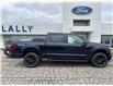 2025 Ford F-150 Lariat (Stk: LFFF00534) in Tilbury - Image 2 of 15