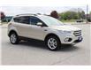 2017 Ford Escape SE (Stk: ES2529A) in Harrow - Image 3 of 12