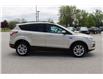 2017 Ford Escape SE (Stk: ES2529A) in Harrow - Image 4 of 12