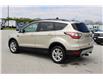 2017 Ford Escape SE (Stk: ES2529A) in Harrow - Image 7 of 12