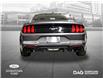 2023 Ford Mustang EcoBoost (Stk: 250384A) in Toronto - Image 4 of 21