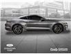 2023 Ford Mustang EcoBoost (Stk: 250384A) in Toronto - Image 5 of 21
