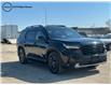 2025 Honda Pilot TrailSport (Stk: 11157) in Winnipeg - Image 1 of 26