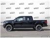 2025 Ford F-150 STX (Stk: 250380) in Hamilton - Image 3 of 24