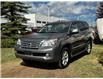 2011 Lexus GX 460 Ultra Premium (Stk: 250887A) in Calgary - Image 5 of 25