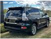 2014 Lexus GX 460 Premium (Stk: 250707A) in Calgary - Image 3 of 25