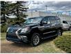 2014 Lexus GX 460 Premium (Stk: 250707A) in Calgary - Image 5 of 25