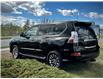 2014 Lexus GX 460 Premium (Stk: 250707A) in Calgary - Image 4 of 25