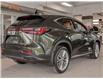 2025 Lexus NX 350h Base (Stk: 6755) in Kingston - Image 5 of 17