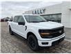 2025 Ford F-150 XLT (Stk: LFFF00469) in Tilbury - Image 1 of 15