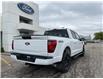 2025 Ford F-150 XLT (Stk: LFFF00469) in Tilbury - Image 3 of 15
