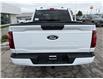 2025 Ford F-150 XLT (Stk: LFFF00469) in Tilbury - Image 4 of 15