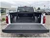 2025 Ford F-150 XLT (Stk: LFFF00469) in Tilbury - Image 5 of 15