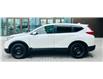 2018 Honda CR-V LX (Stk: 25101151AA) in Markham - Image 4 of 20