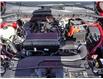 2025 Ford Escape Active (Stk: SK-278) in Okotoks - Image 6 of 23