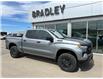 2025 Chevrolet Silverado 1500 LT Trail Boss (Stk: 25123) in Moosomin - Image 1 of 12