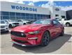 2021 Ford Mustang EcoBoost Premium (Stk: 19193) in Calgary - Image 1 of 3