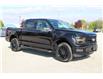 2025 Ford F-150 XLT (Stk: LT2516) in Harrow - Image 3 of 15