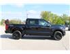 2025 Ford F-150 XLT (Stk: LT2516) in Harrow - Image 4 of 15