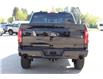 2025 Ford F-150 XLT (Stk: LT2516) in Harrow - Image 6 of 15