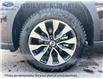 2025 Subaru Outback Limited (Stk: 18-SQ447) in Ottawa - Image 12 of 25