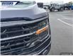 2025 Ford F-150 XLT (Stk: 27059) in Dartmouth - Image 8 of 24