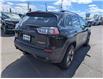2019 Jeep Cherokee Trailhawk (Stk: U274274-OC) in Orangeville - Image 5 of 24