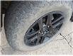 2023 Chevrolet Silverado 1500 LT Trail Boss (Stk: B12519) in Orangeville - Image 9 of 23