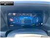 2025 Ford F-150 XLT (Stk: 5F102280) in Brantford - Image 13 of 23