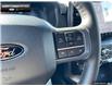 2025 Ford F-150 XLT (Stk: 5F102280) in Brantford - Image 14 of 23
