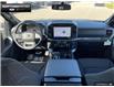 2025 Ford F-150 XLT (Stk: 5F102280) in Brantford - Image 22 of 23