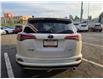 2017 Toyota RAV4 XLE (Stk: 2505203) in Waterloo - Image 4 of 24