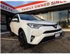 2017 Toyota RAV4 XLE (Stk: 2505203) in Waterloo - Image 7 of 24