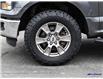 2016 Ford F-150 XLT (Stk: U2558A) in St. Catharines - Image 6 of 27