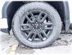 2025 GMC Sierra 1500 Elevation (Stk: 17903) in Casselman - Image 19 of 24