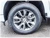 2025 Chevrolet Silverado 1500 RST (Stk: 17907) in Casselman - Image 17 of 22