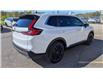 2024 Honda CR-V Hybrid EX-L (Stk: SH504) in Simcoe - Image 5 of 19