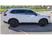 2024 Honda CR-V Hybrid EX-L (Stk: SH504) in Simcoe - Image 6 of 19