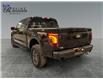 2025 Ford F-150 Tremor (Stk: S9656) in ROSETOWN - Image 5 of 17