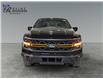 2025 Ford F-150 Tremor (Stk: S9656) in ROSETOWN - Image 8 of 17