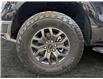 2025 Ford F-150 Tremor (Stk: S9656) in ROSETOWN - Image 17 of 17