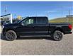 2025 Ford F-150 Lightning Flash (Stk: 5T4457) in Cardston - Image 2 of 13