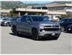 2024 Chevrolet Silverado 1500 RST (Stk: 58N10725A) in Penticton - Image 3 of 21