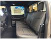 2025 Ford F-150 Tremor (Stk: NA82578) in Shellbrook - Image 20 of 23