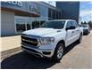 2019 RAM 1500 Tradesman (Stk: 24411) in Pembroke - Image 4 of 28